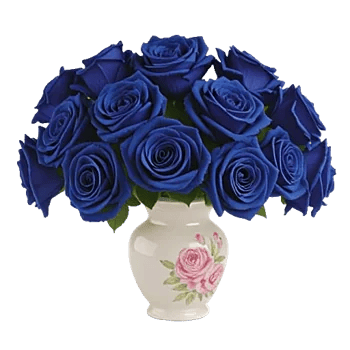 Elegant Blue Roses
