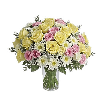 Radiant Rose Symphony