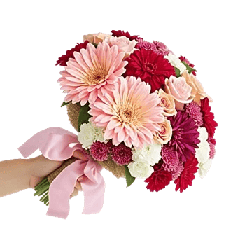 Blushing Rose Symphony