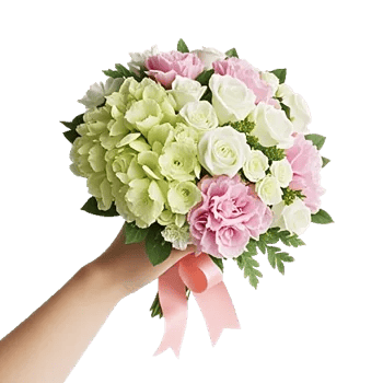 Ivory Garden Grace