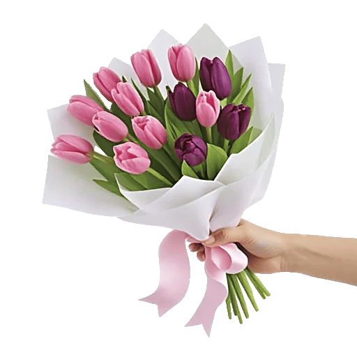 Velvet Tulip Display