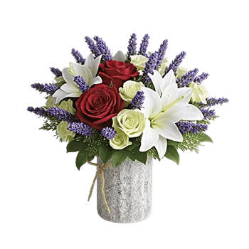 Crimson Rose Elegance