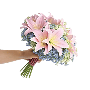 Blossom Petal Serenity