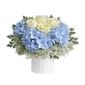 Sapphire Bloom Whisper