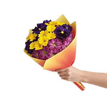 Petal Radiance Bliss