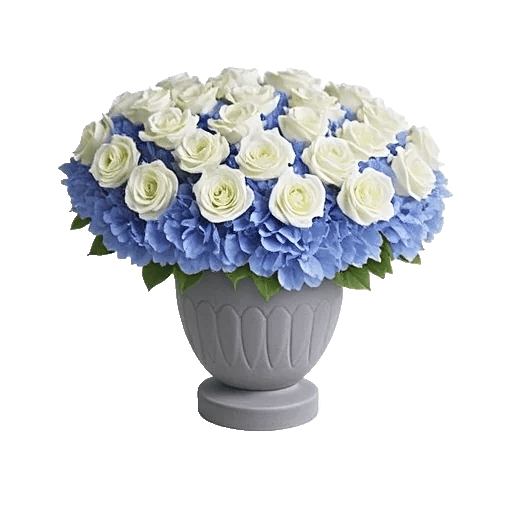 Elegant Blue Roses