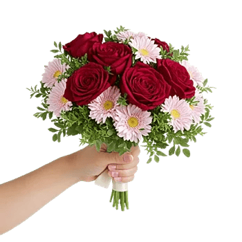 Crimson Rose Elegance