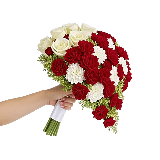 Delicate Petal Cascade