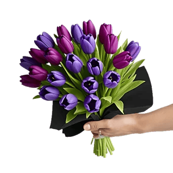 Velvet Tulip Display