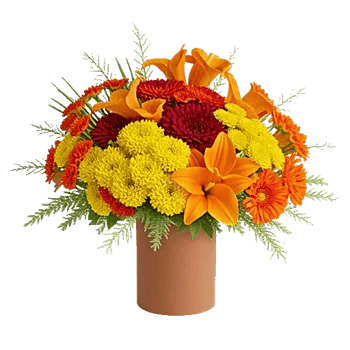 Petal Radiance Bliss