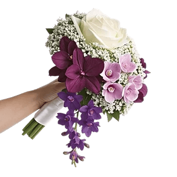 Delicate Petal Cascade
