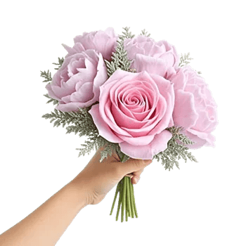 Pastel Pink Roses