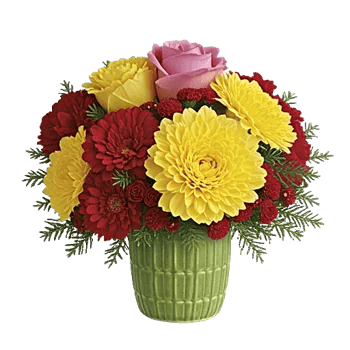 Petal Radiance Bliss