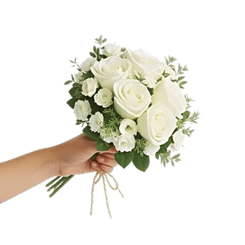Ivory Garden Grace