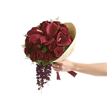 Elegant Calla Lilies