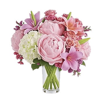 Petal Radiance Bliss