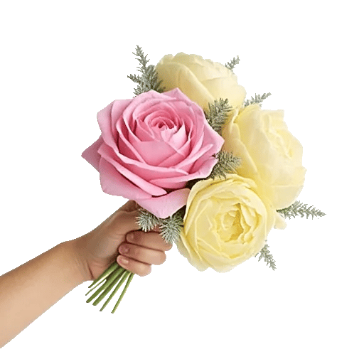Pastel Pink Roses
