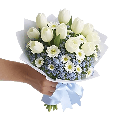 Blossom Harmony Display