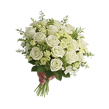 Petal Softness Display
