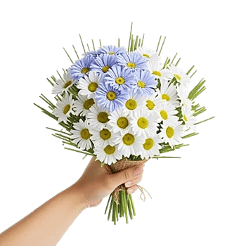 Blossom Petal Serenity