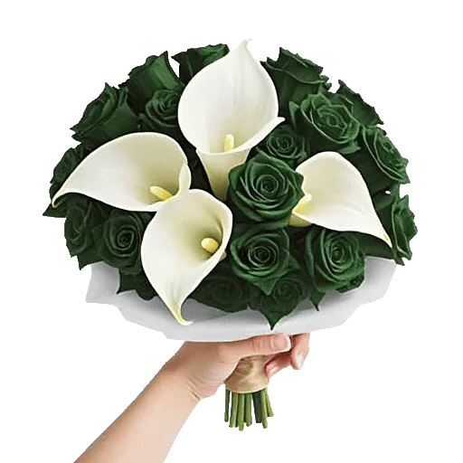 Elegant Calla Lilies