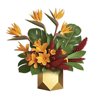 Tropical Sunflower Burst