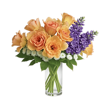 Petal Radiance Bliss