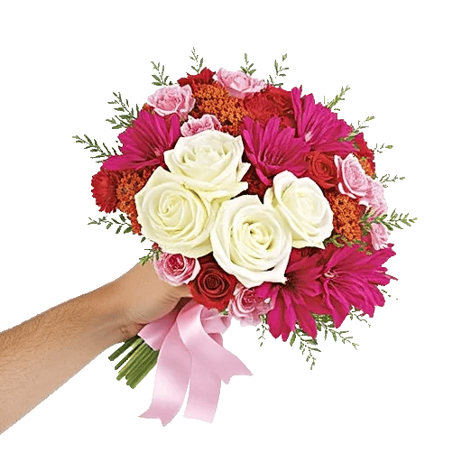 Blushing Rose Symphony