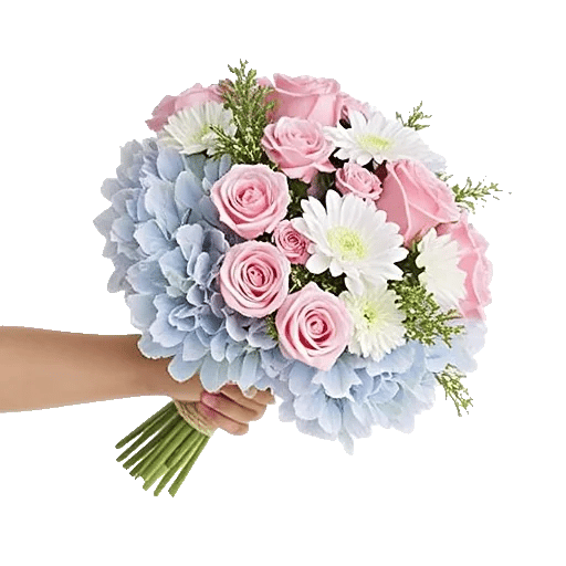 Serene Petal Harmony