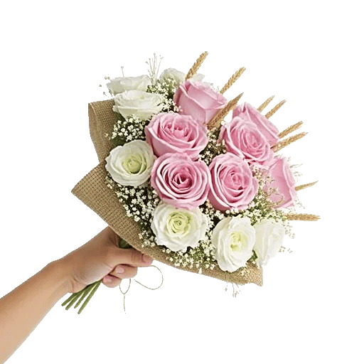 Blushing Rose Symphony