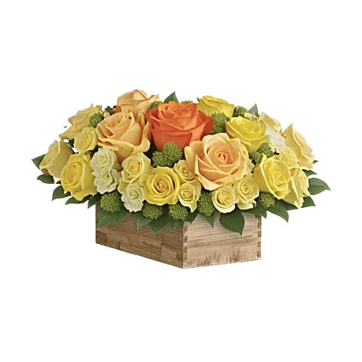 Radiant Rose Symphony