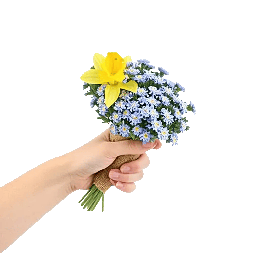 Blossom Petal Serenity