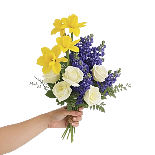 Blossom Harmony Display