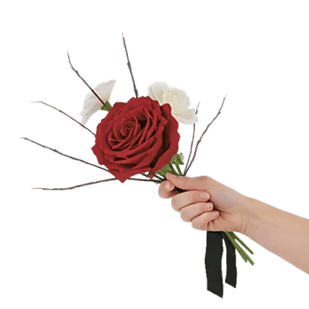 Crimson Rose Elegance