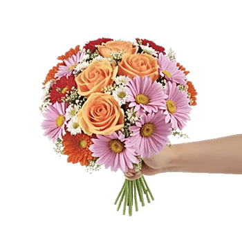 Petal Harmony Bliss