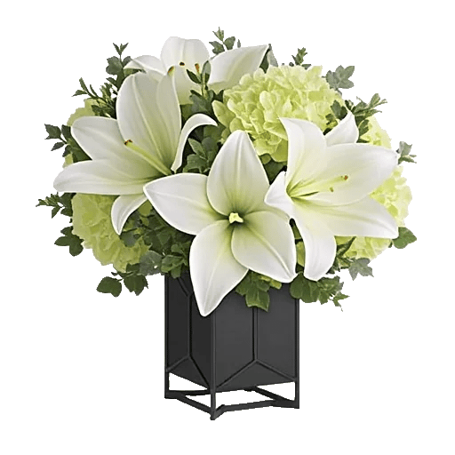 Graceful Lily Display