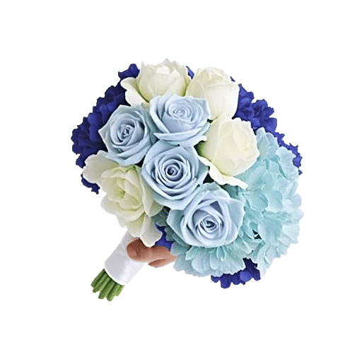 Serene Petal Harmony