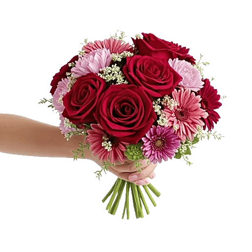 Crimson Rose Elegance