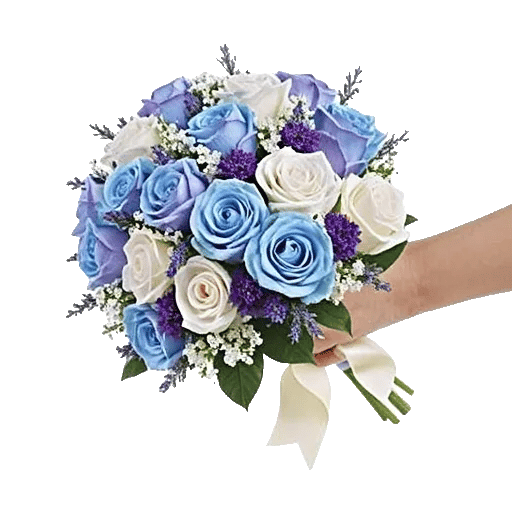 Elegant Blue Roses