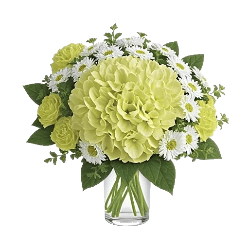 Emerald Bloom Cascade