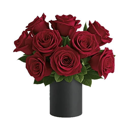 Crimson Rose Elegance