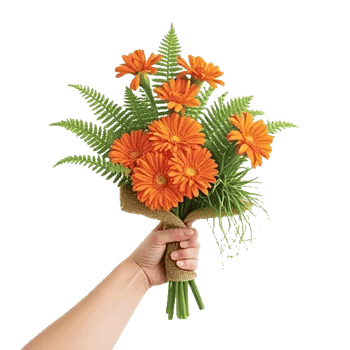 Vibrant Orange Delight