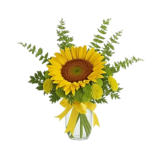 Bright Cheerful Sunflowers