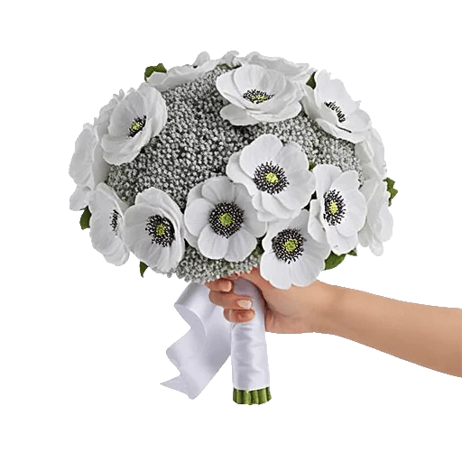 Blushing Rose Symphony