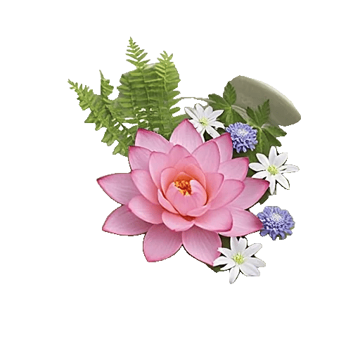 Serenity Orchid Bloom