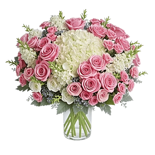 Ivory Blossom Radiance