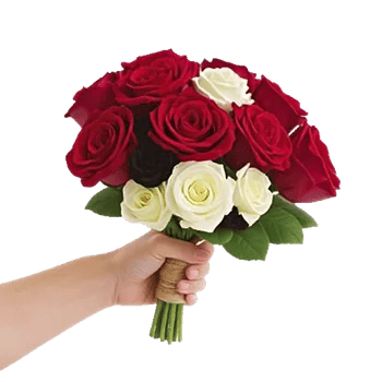 Crimson Rose Elegance