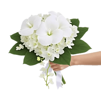 Modern White Orchids