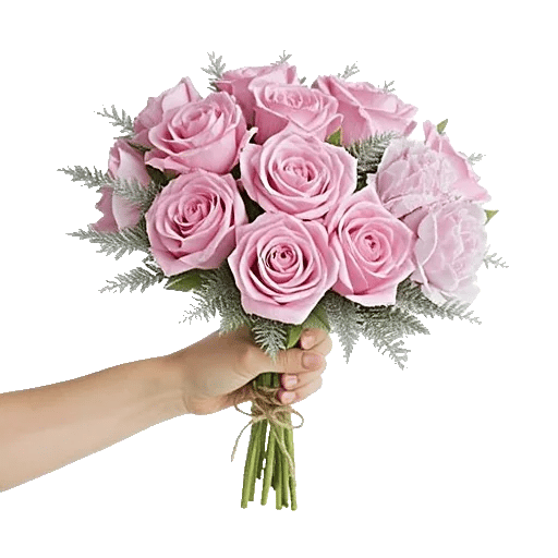 Pastel Pink Roses