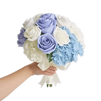 Serene Petal Harmony